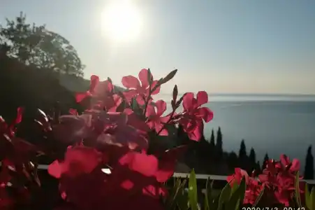 Панорама - 61