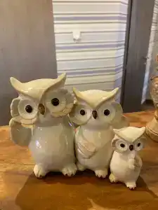 Три совы - 25