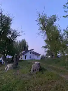 Левада - 89