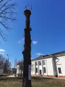 Эффект - 6