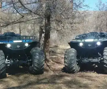 Альмон - 68