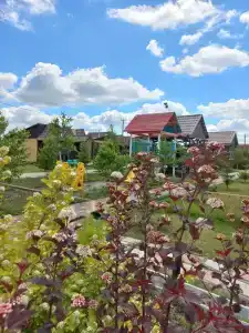 Релакс в Новом - 37