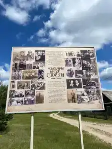 Стулы - 5