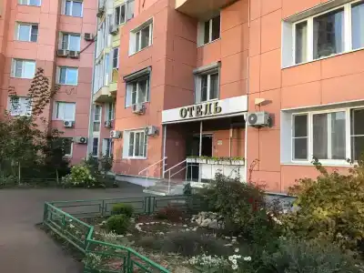 Крокус Стар - 15