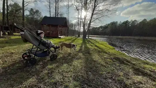 Лесной Эдем - 27