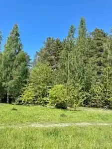 Ленинградская Аэс-Авто - 41