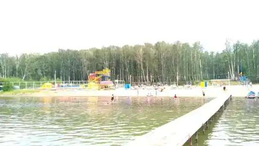 Берёзка - 57