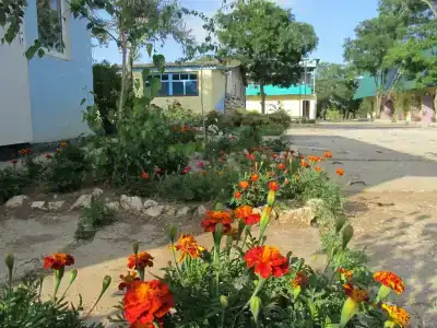 Ссср - 16