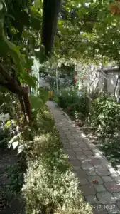 Чтобы отдых удался! - 14