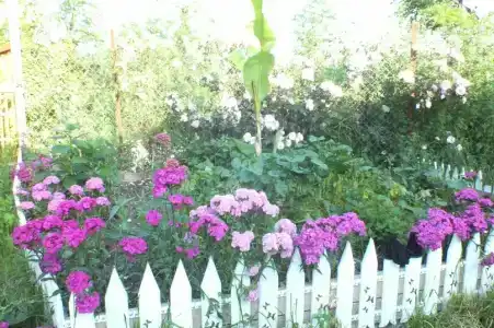 У Елены - 13