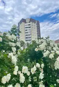 Ленинградская Аэс-Авто - 4