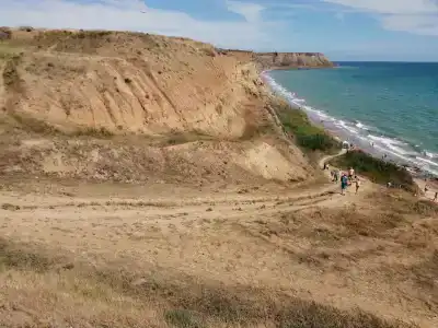 Таманит - 35