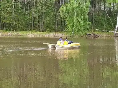 Берёзка - 16