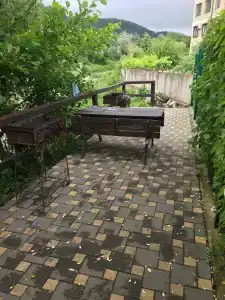 Каштан - 13
