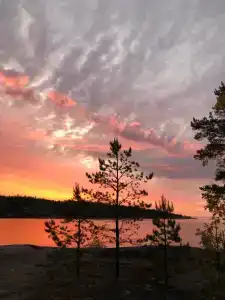 Saari - 15