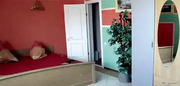 Бриз - 25