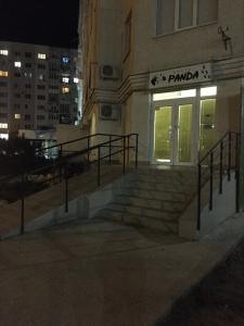 Панда - 7