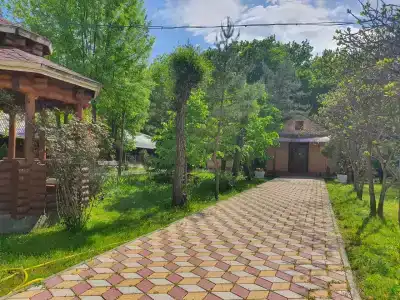 Межгорье - 49