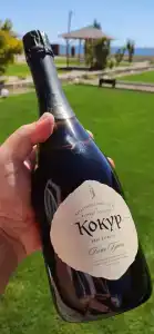 Юлион - 17