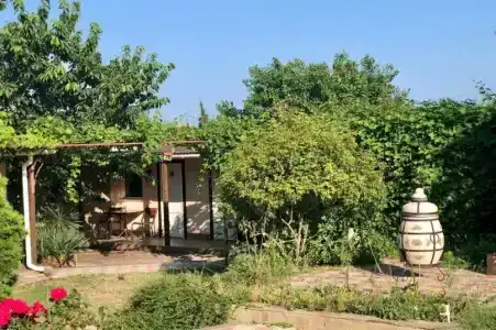 Баунти - 26