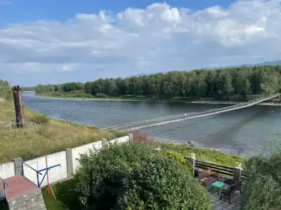 Аргут - 35