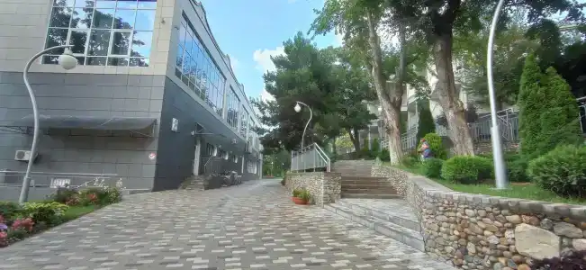 Рассвет - 19