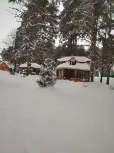 Медвежий угол - 20