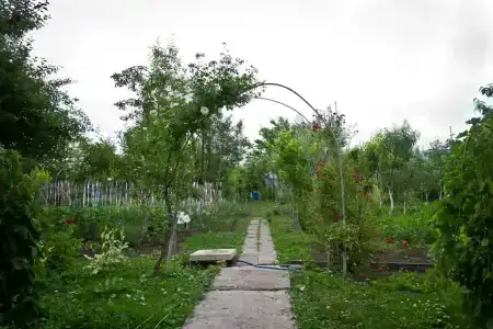 Къона - 7