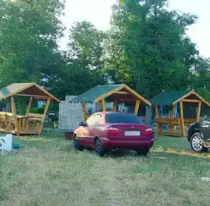 Золотое руно - 11