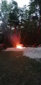 Домик в лесу - 58