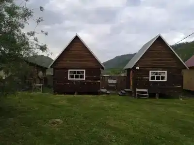 Золотая пчела - 49