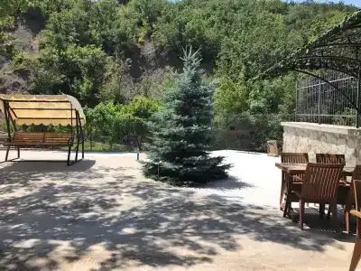 Дельфин - 37