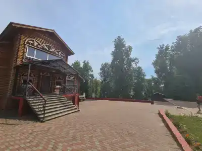Снегири - 14