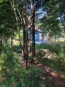 Сегежа Парк - 65