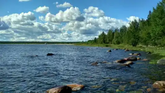 Самая Ладога - 67