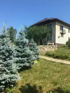 Зеленая Долина - 0