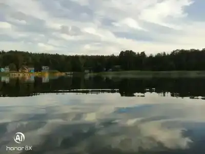 Тихая бухта - 11