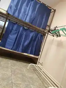 Авокадо на Смольной - 9