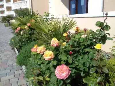 у моря - 69