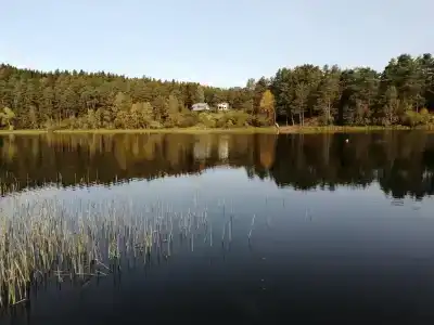 Тарулинна - 13