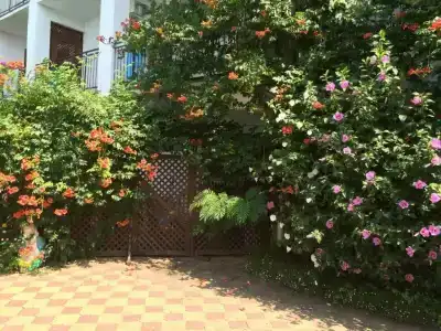 Фламинго - 51