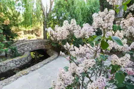 Качинская - 51