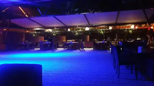 Золотая вилка - 5