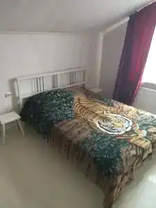 Терем - 0