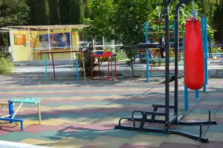 Кипарис - 16