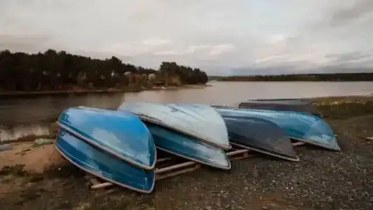 Тарулинна - 12