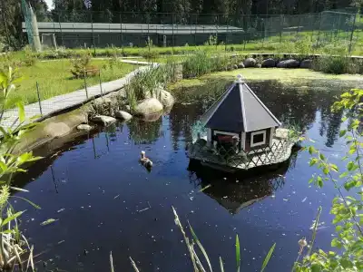 Самая Ладога - 63