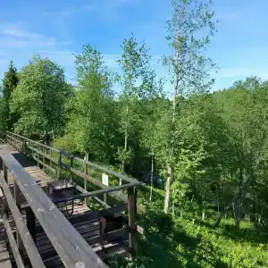 Междуречье - 32