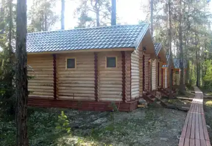 Фаворит - 7