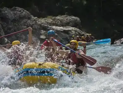 Ореховая роща - 25